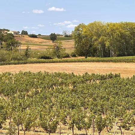 公寓 Le Refuge Des Vignes *